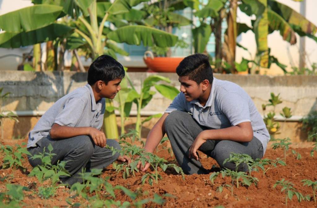 Students in the school garden at TACS